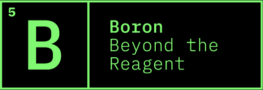 The logo of the Boron: Beyond the Reagent Programme Grant.