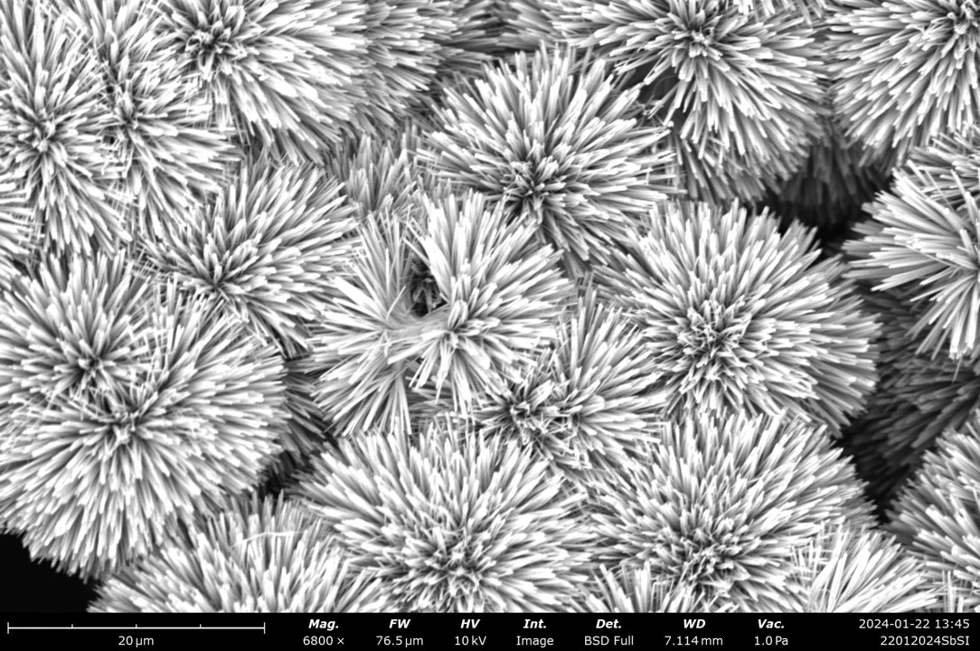 Sea urchin shaped sbsi crystals, taken by Tianxin Liang.